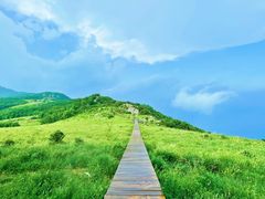 -白草畔自然风景区