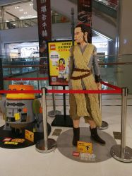 -乐高授权专卖店(朝阳大悦城店)