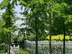 -大望京公园