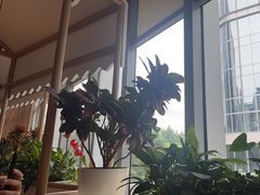 -渝信川菜 · 川味家常菜(财富购物中心店)
