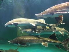 -多彩贵州城极地海洋世界