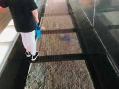 -鸿山遗址博物馆