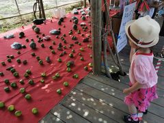 -前小桔亲子创意农场·草莓采摘·露营烧烤