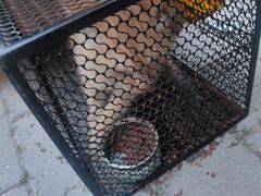 -瑞派·关忠动物医院·猫专科·犬专科(三环新城店)