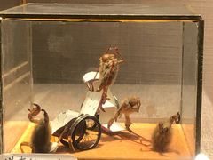 -北京工艺美术博物馆