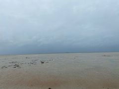 -北海金海湾红树林生态旅游区