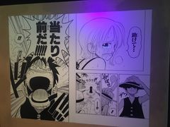 -东京塔海贼王主题公园