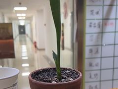 -学习谷日语培训日本留学·多语种外语教学(海淀人大分部)