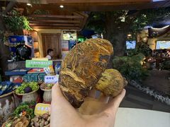 -昆百大泰业城
