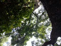 android_upload_pic-南方医科大学南方医院(院本部)