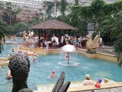 android_upload_pic-龙达温泉生态城