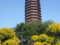 -西海子公园