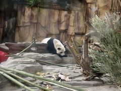 -泉州海丝野生动物世界