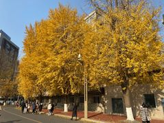 -四川大学(华西校区)