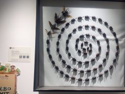 -酷嗒动物文化乐园(cutezoo西溪乐天城店)