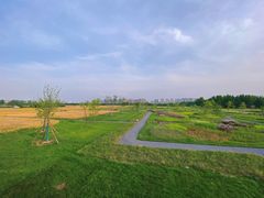 -汉长安城未央宫国家考古遗址公园