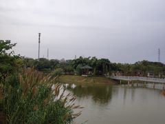 -王借岗森林公园