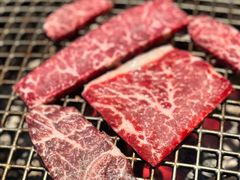 -火浪壹 by tigergrill(33小镇店)