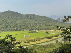 -风云岭森林公园