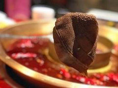 一品翻江鲜毛肚-小龙翻大江文化火锅(宽窄店)