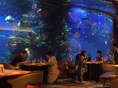 -迪拜帆船酒店海底餐厅