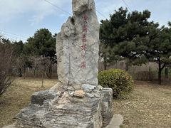 -云岗森林公园