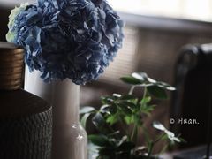 -一棵树·意大利西餐厅One Tree(新城店)