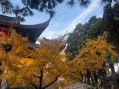 -鸡鸣赐茶(鸡鸣寺路店)