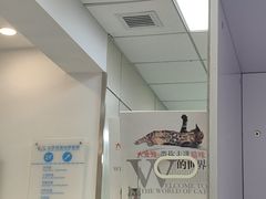 -北京观赏动物医院·24小时大型综合·猫专科·异宠专科