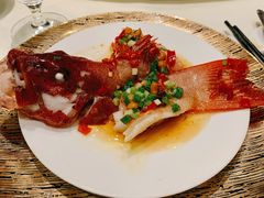 泡椒蒸深海红东星斑-皇朝会.经典传统粤菜(外滩店)