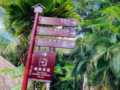 -海南槟榔谷黎苗文化旅游区