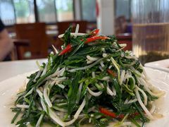 韭菜炒豆芽-秋香鱼馆(世凹桃园店)