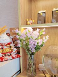 -芳朵美容养生SPA