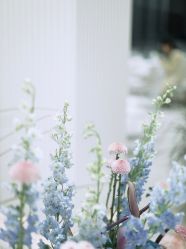 -琥珀婚礼策划AMBER WEDDING