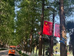 -黄海国家森林公园