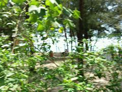 -玫瑰海岸文化旅游度假区