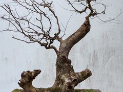 -杭州西湖风景名胜区-章太炎纪念馆