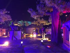 iphone_upload_pic-大汗行宫园林餐厅