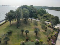 -大湾区中央湿地公园
