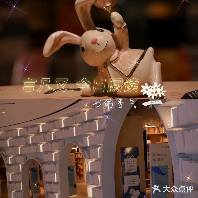 那是书里的香气啊,如同春日的樱花一样