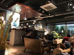 -咖法森林·咖啡  酒吧(天河店)