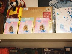 -浣熊唱片店(上海影城店)