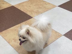 -奈斯宠物医院·核磁CT·异宠专科·内镜(中南店)