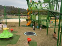 -大屏嶂森林公园