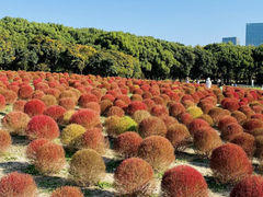 -中山公园