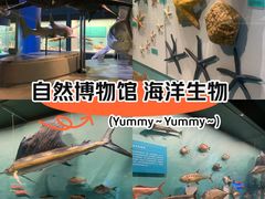 -天津自然博物馆
