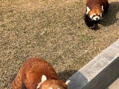 -水上乐园·欢乐世界