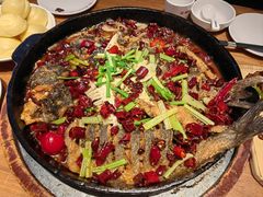 -老板恋上鱼(恒隆广场店)