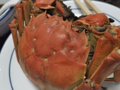 -张树军海鲜(王府壹号店)