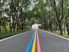 -同里国家湿地公园